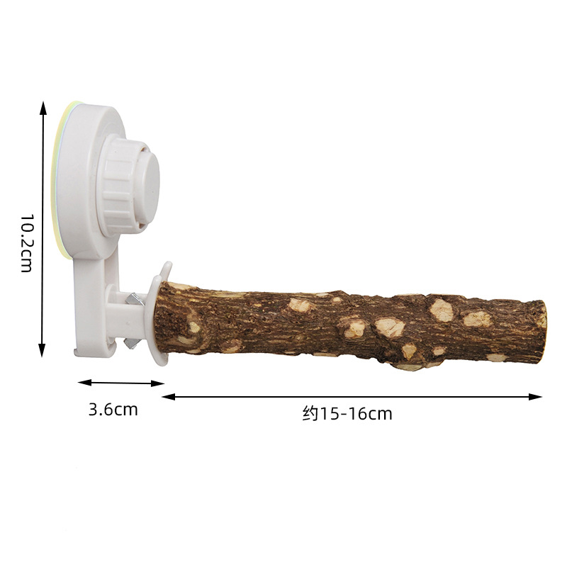 Vantuzlu Papağan Standı, Molar - Woodworking Joint incelemesi ve fiyatı